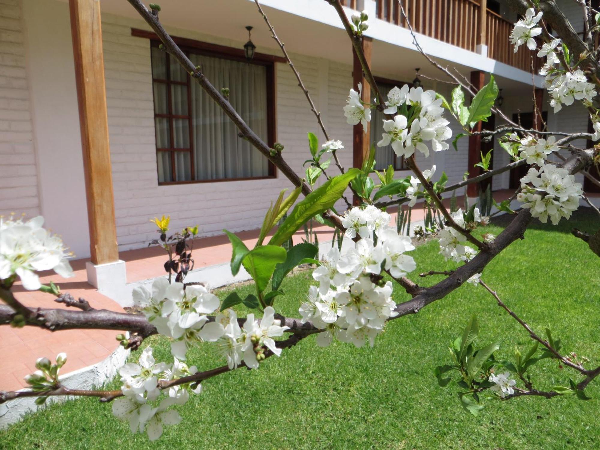 La Quinta San Andres Ibarra Exterior foto