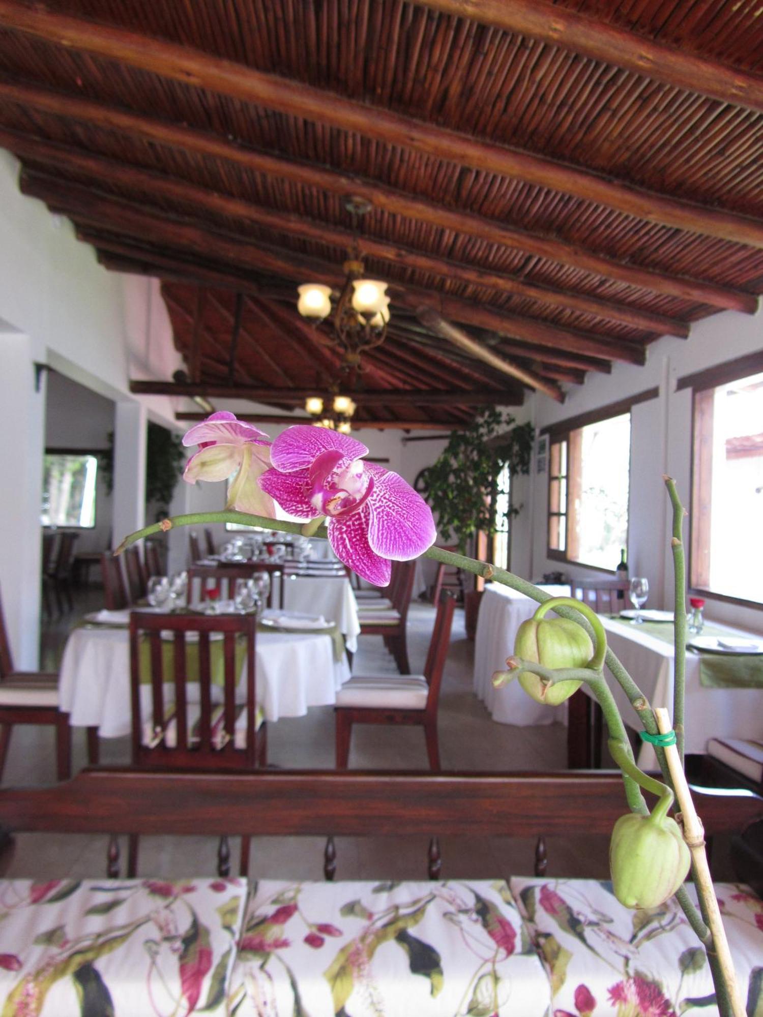 La Quinta San Andres Ibarra Exterior foto
